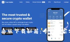 币coin专业版下载秘籍：专家独家分享秘诀！