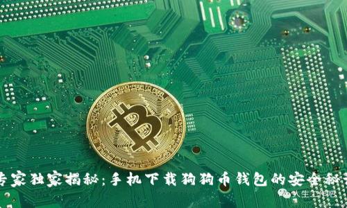 专家独家揭秘：手机下载狗狗币钱包的安全秘诀