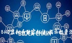 专家解读：BHD虚拟币独家秘诀，揭示投资潜力与