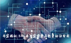 专家揭秘：BHD币独家前景与投资秘诀分析