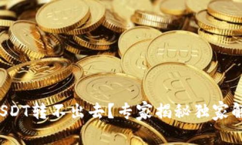 冷钱包USDT转不出去？专家揭秘独家解决秘诀！